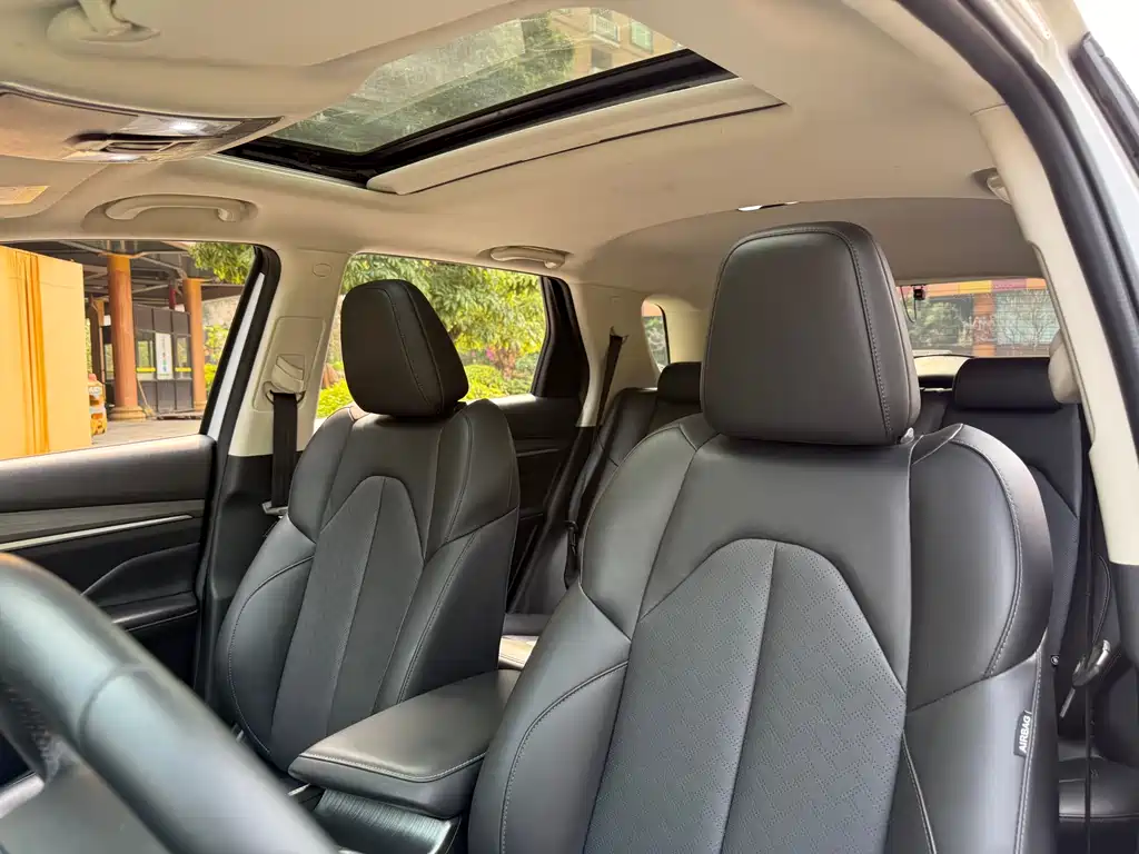 Changan CS55 PLUS 1.5 T Auto Vivid Color
