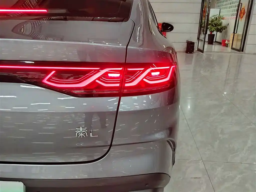 Qin L DM-i 120 KM Transcend