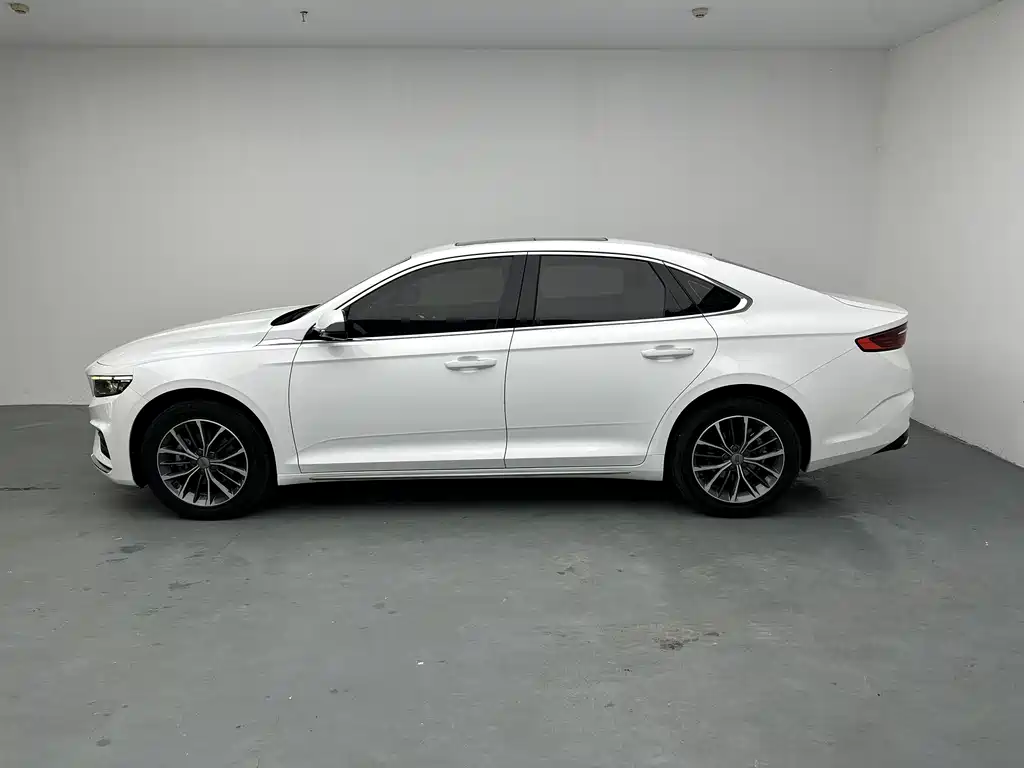 Xingrui 2.0 TD Luxury