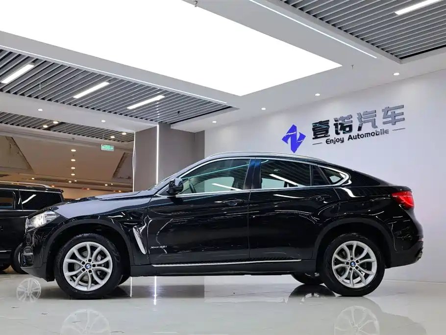 BMW X6 xDrive35 i Leading
