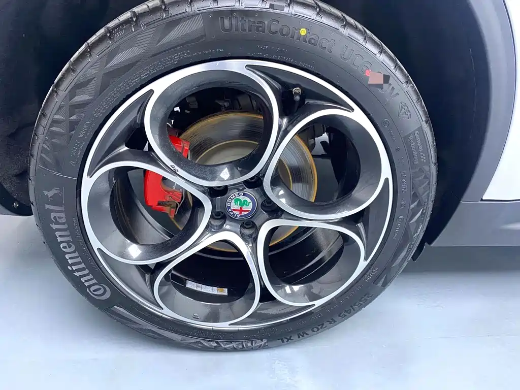 Stelvio Stelvio斯坦维 2021款 2.0 T 280 HP 豪华版