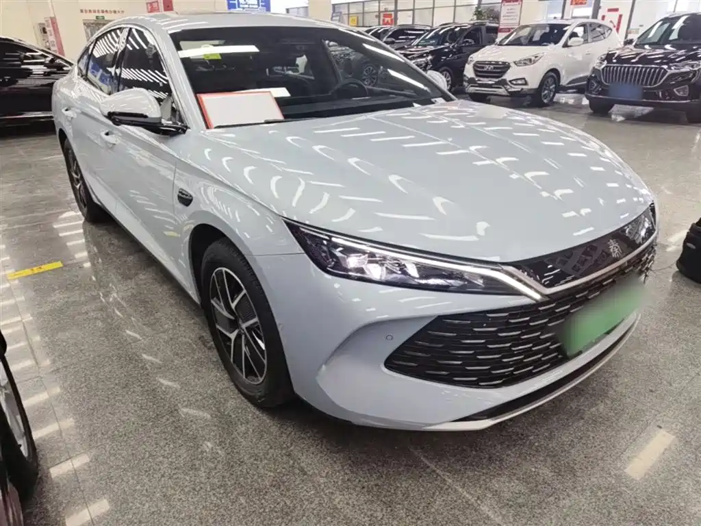 Qin L DM-i Smart Drive 120 KM Transcend