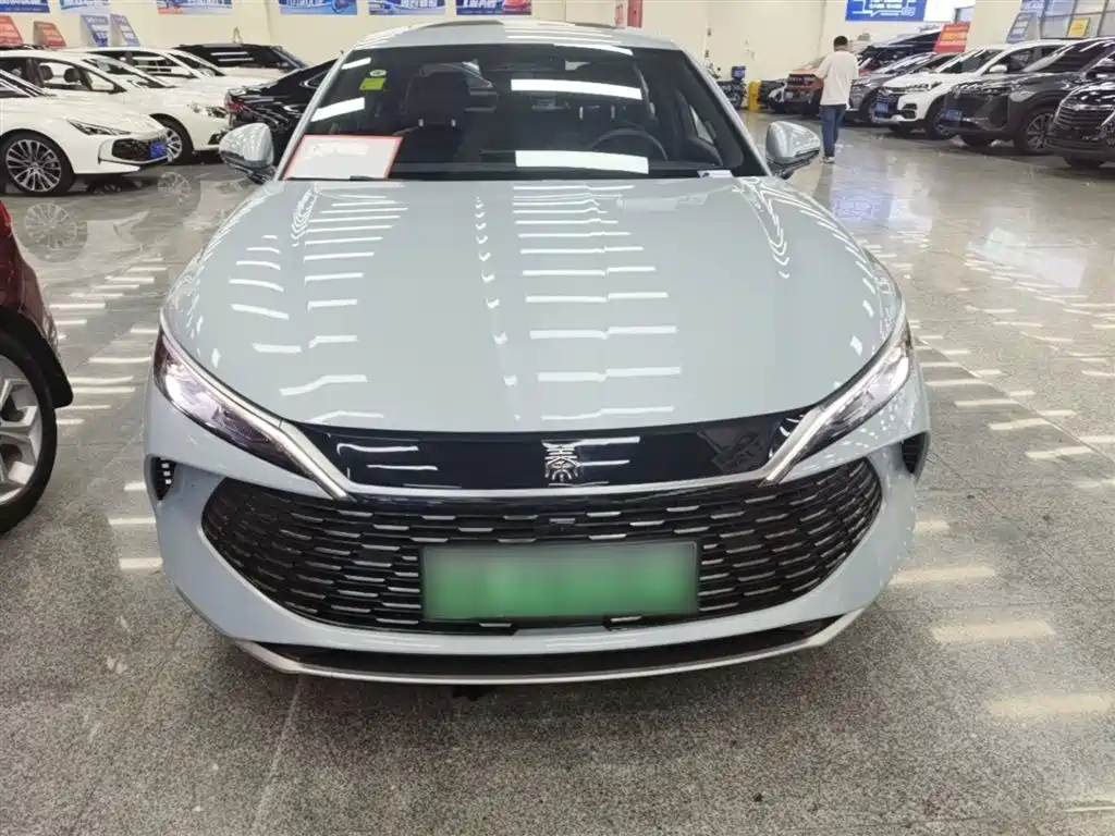 Qin L DM-i Smart Drive 120 KM Transcend