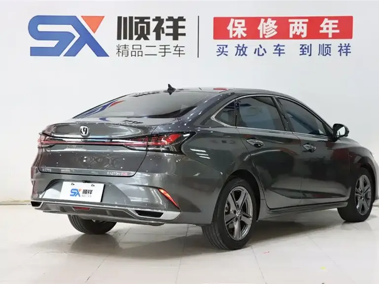 Changan Ruicheng PLUS 1.5 T DCT Distinguished
