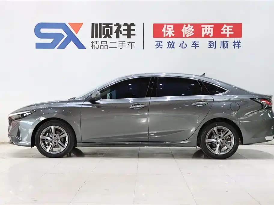 Ruicheng PLUS 1.5 T DCT Distinguished