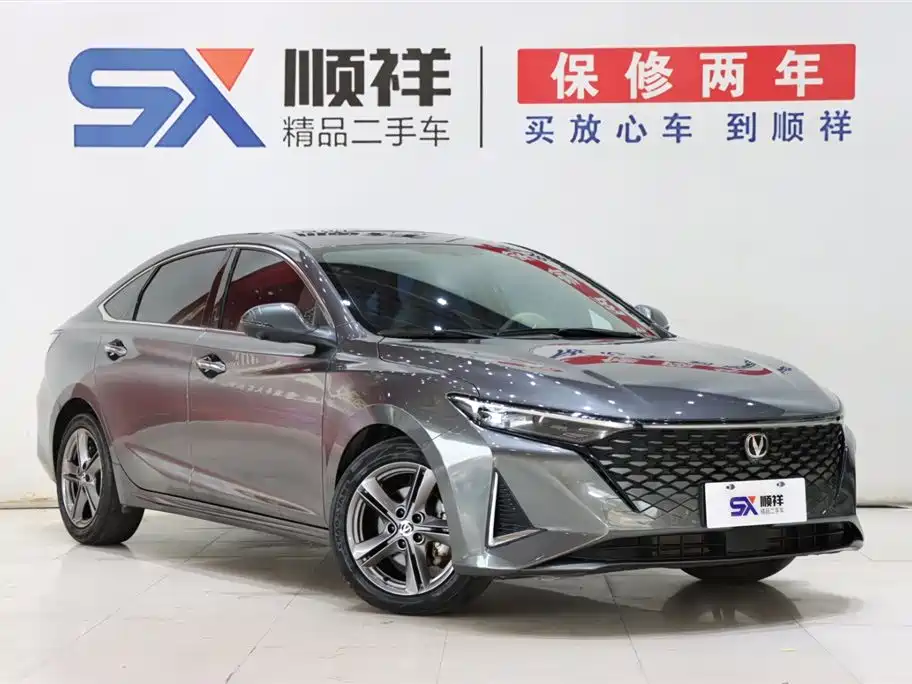 Ruicheng PLUS 1.5 T DCT Distinguished