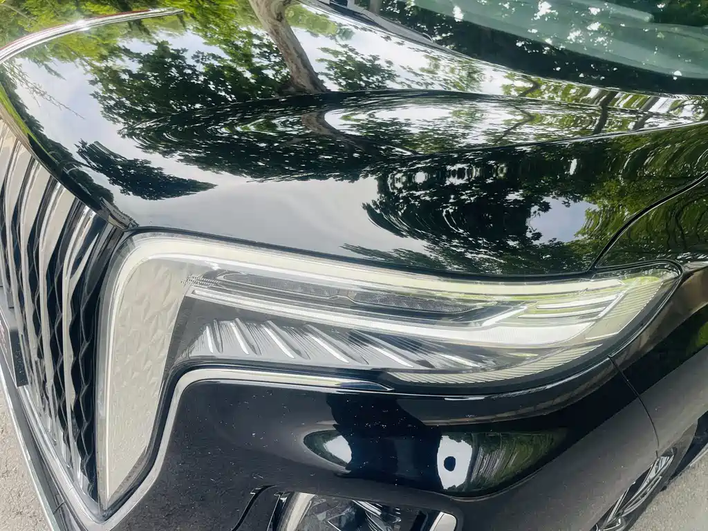 Hongqi HQ9 2.0 T Connected Flagship Enjoyment