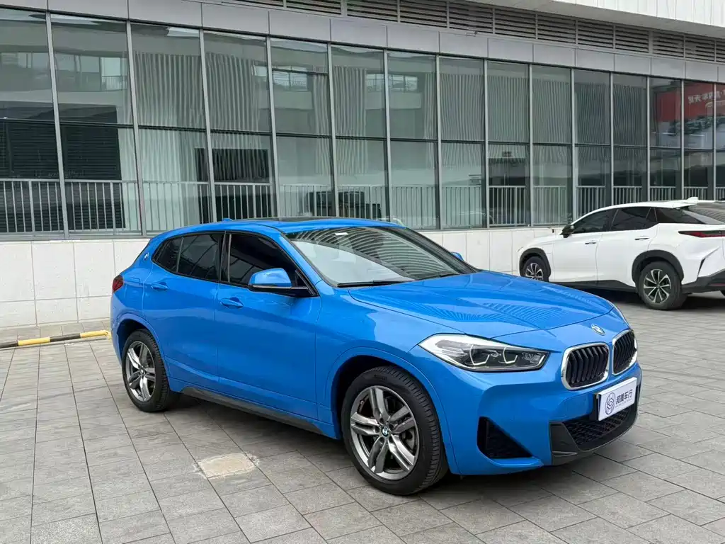 BMW X2 xDrive25 i M Sport Package