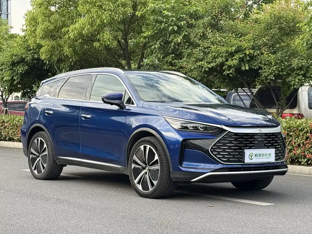 Tang NEV DM-p 215 KM 4 WD Flagship