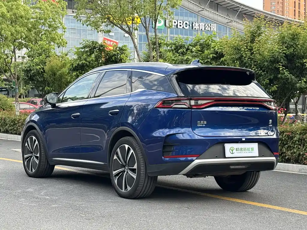 Tang NEV DM-p 215 KM 4 WD Flagship