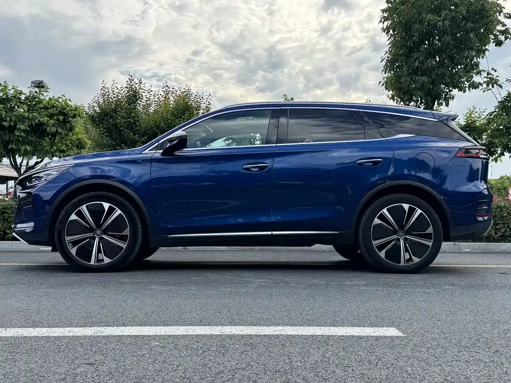 Tang NEV DM-p 215 KM 4 WD Flagship