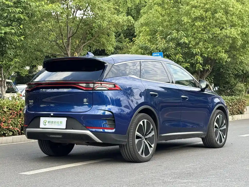 Tang NEV DM-p 215 KM 4 WD Flagship