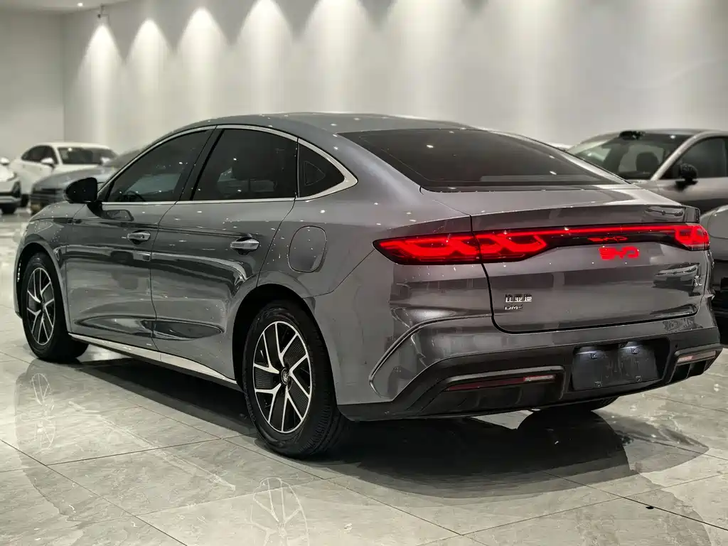 Qin L DM-i 80 KM Transcend