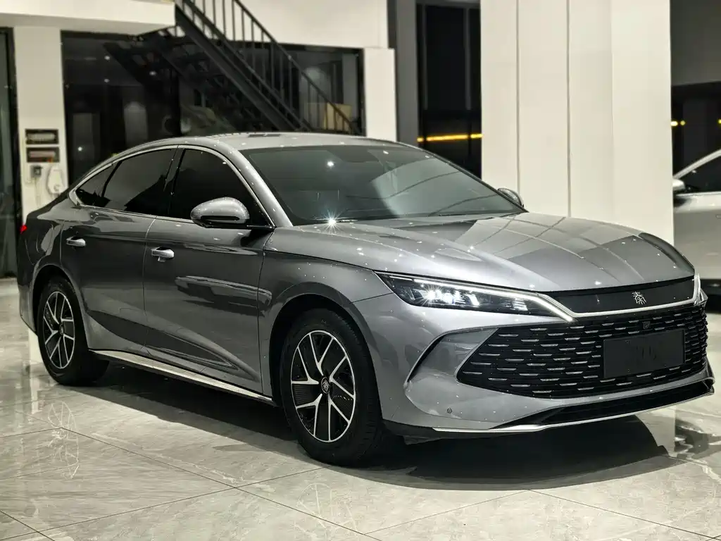 Qin L DM-i 80 KM Transcend