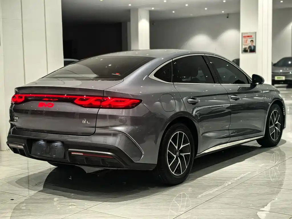 Qin L DM-i 80 KM Transcend