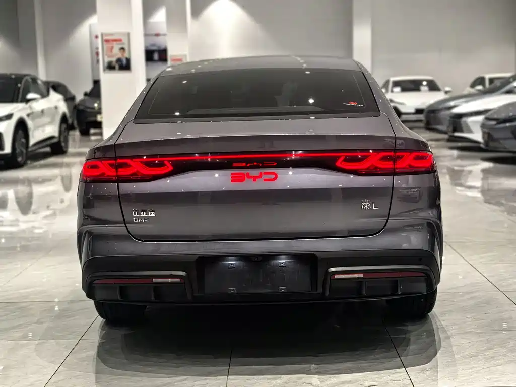 Qin L DM-i 80 KM Transcend