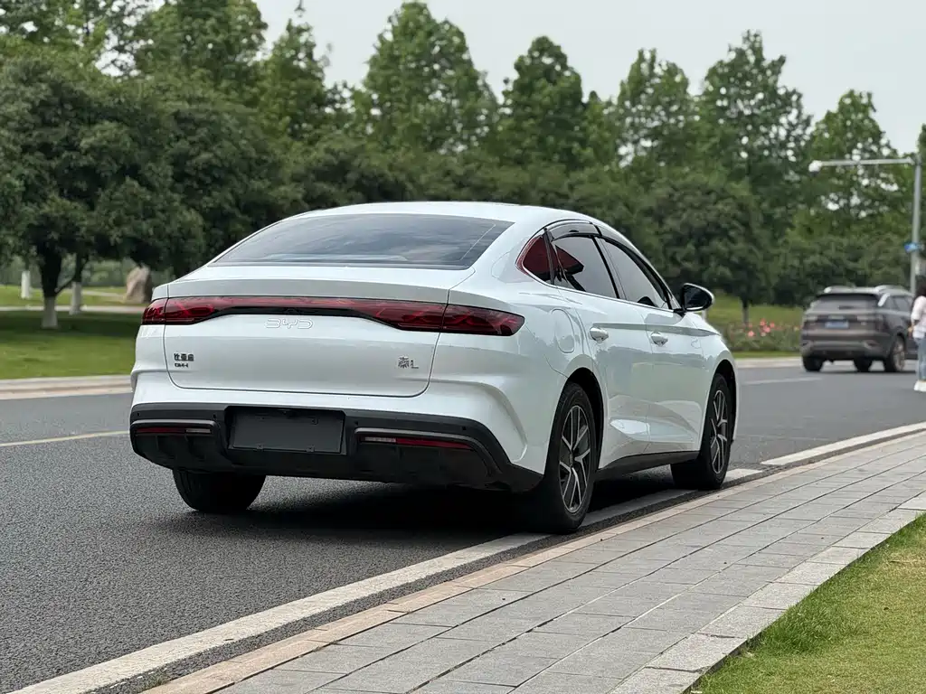 Qin L DM-i 120 KM Leading