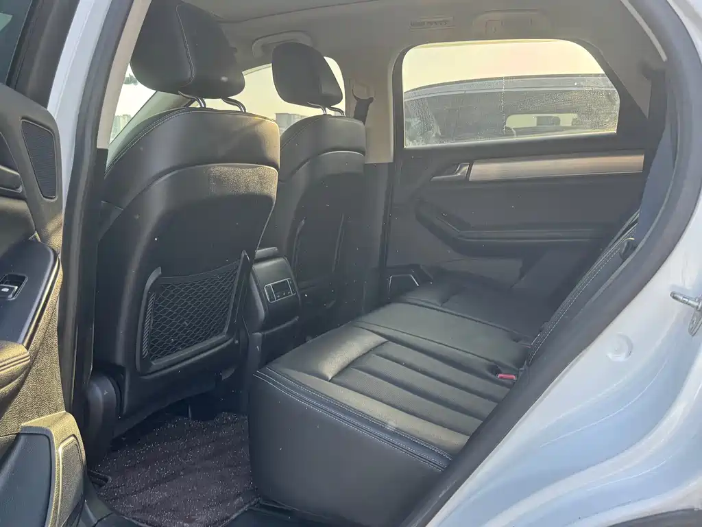 Tang 2.0 T Auto Connected Honored 7-seat CN-VI
