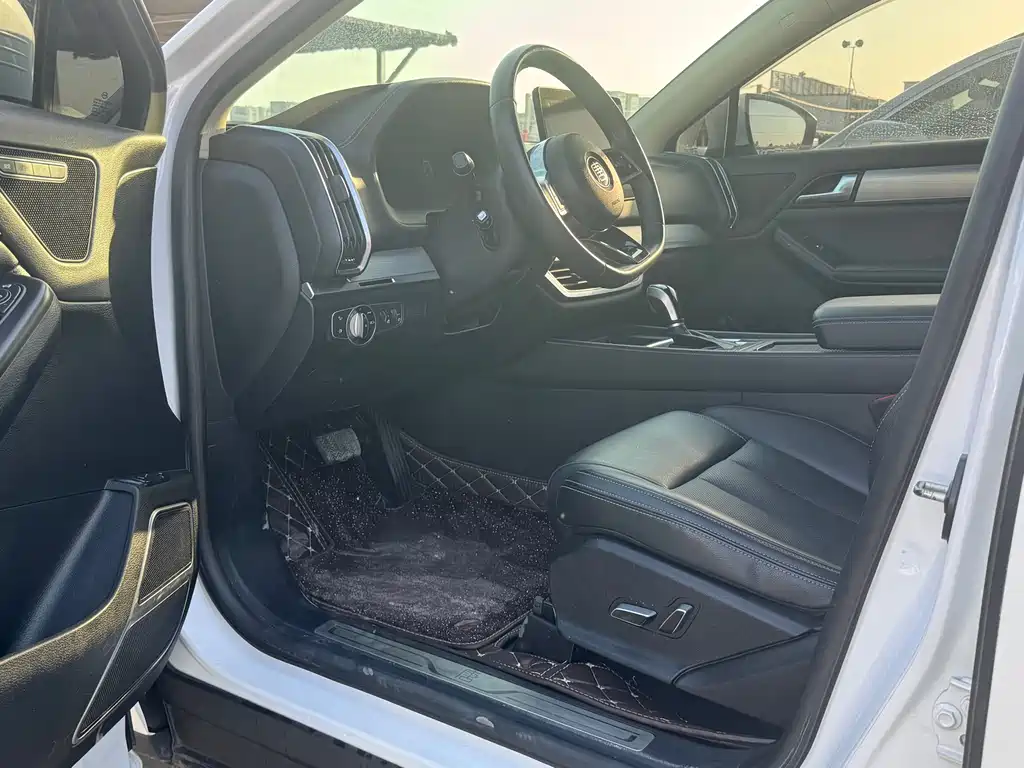 Tang 2.0 T Auto Connected Honored 7-seat CN-VI