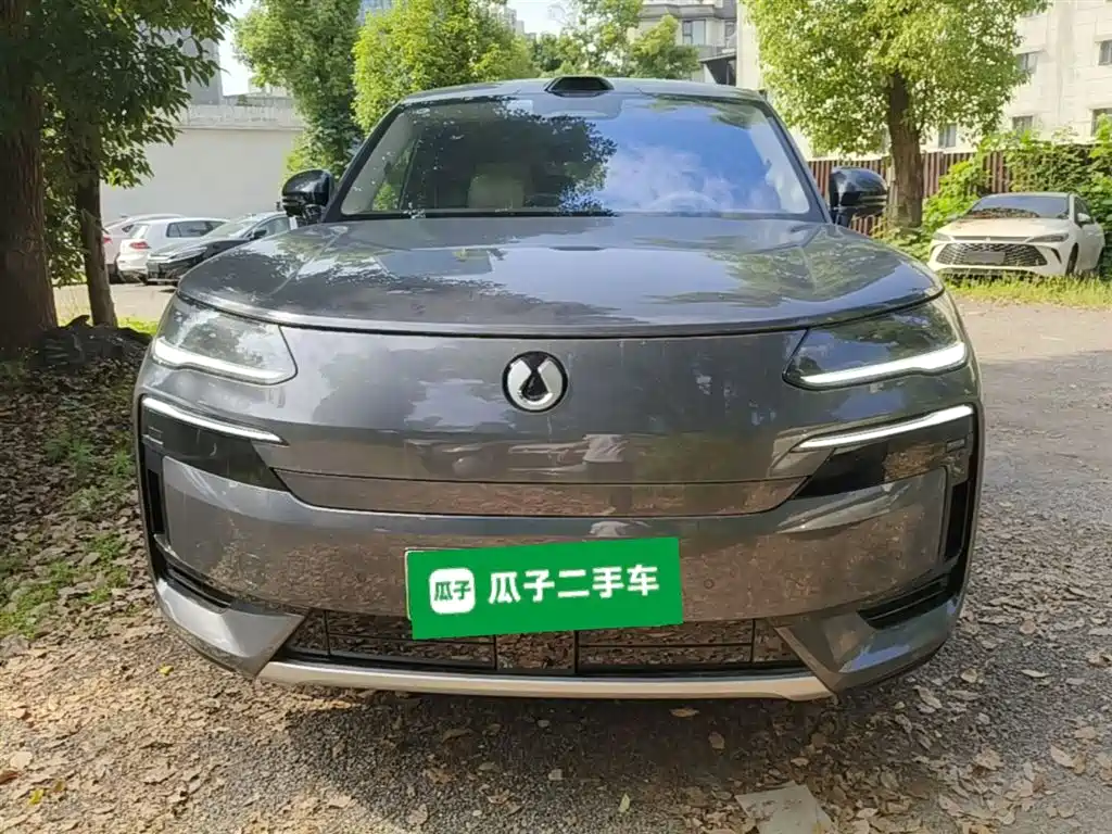 Denza N9 Flagship