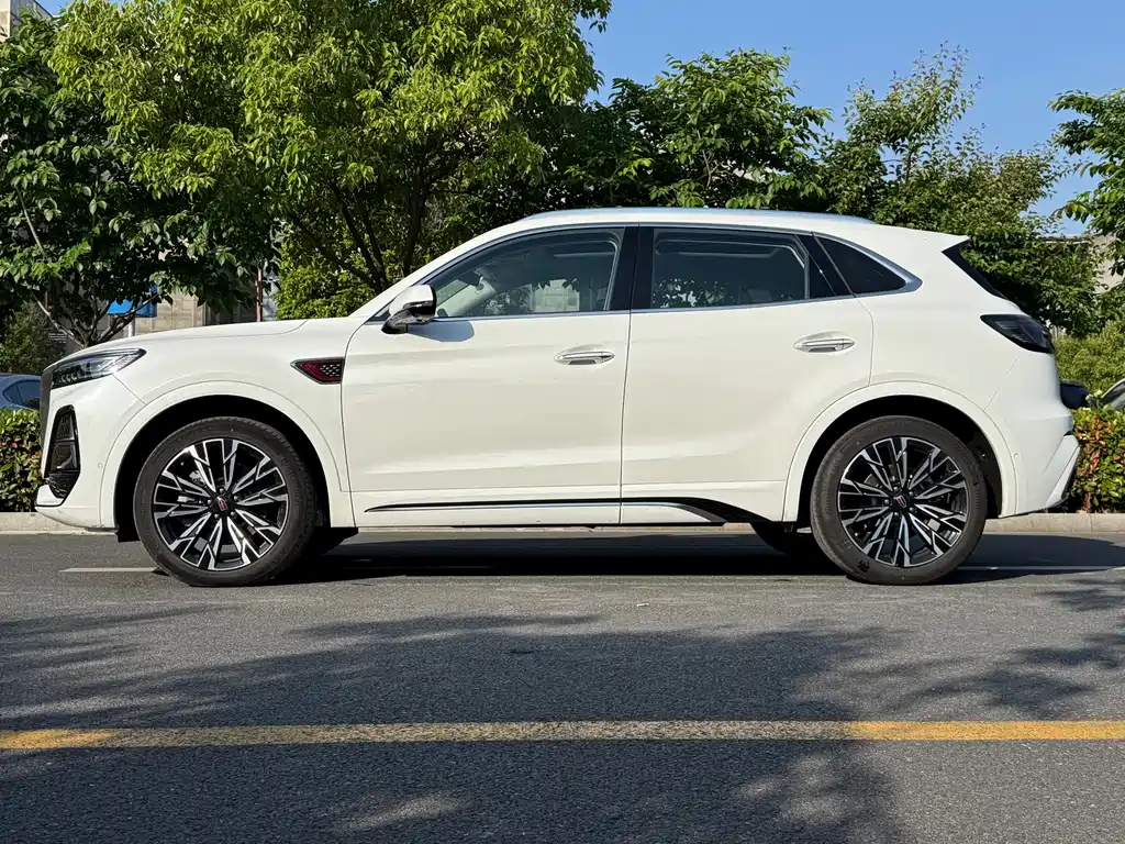 Hongqi HS5 2.0 T Flagship Leading Pro