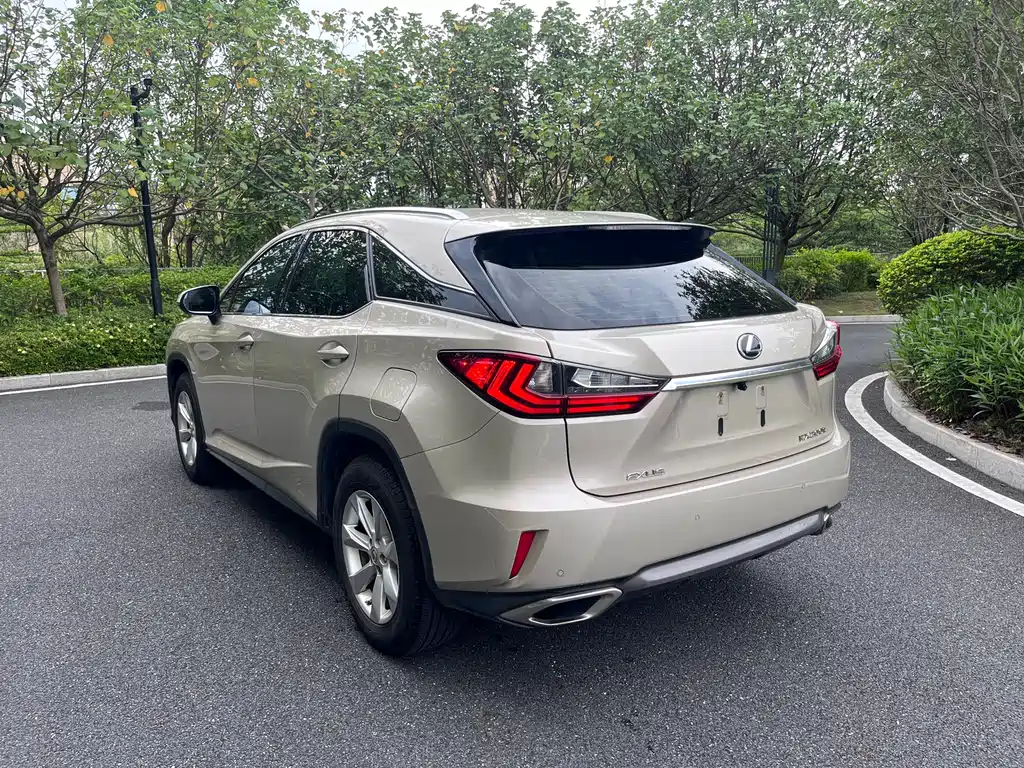 Lexus RX 300 2 WD Elite CN-V