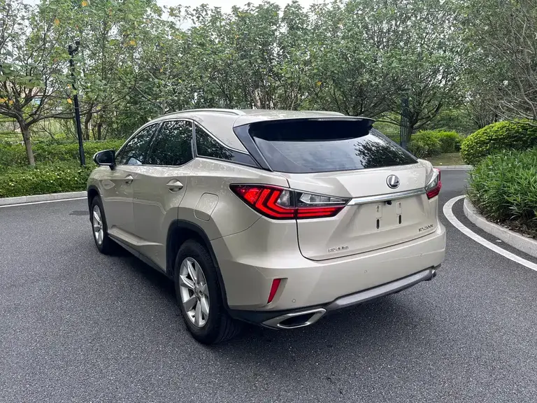 Lexus RX 300 2 WD Elite CN-V