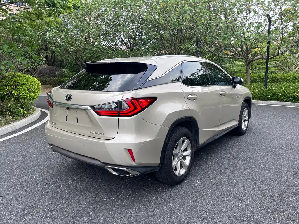 Lexus RX 300 2 WD Elite CN-V