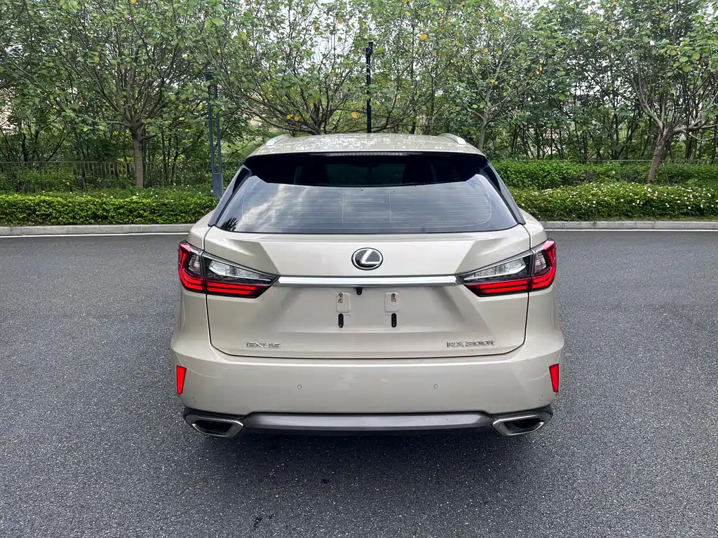 Lexus RX 300 2 WD Elite CN-V