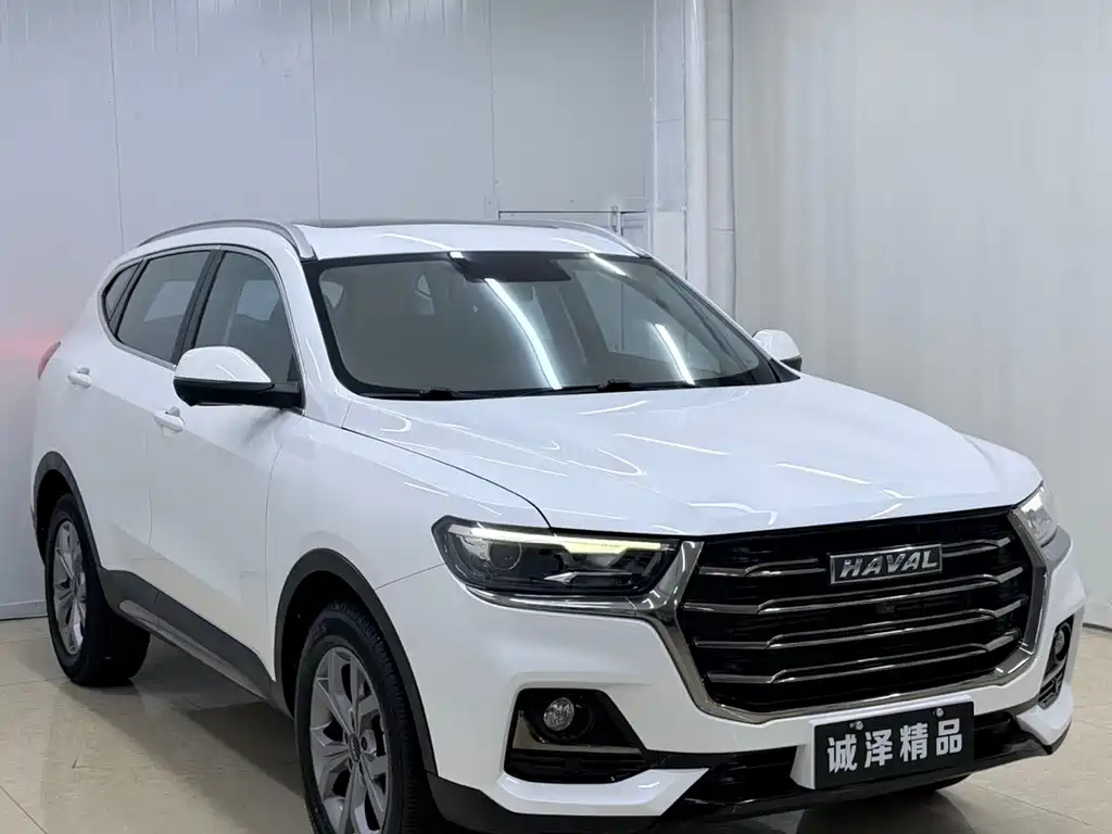 Haval H6 China Style 1.5 T Auto Champion