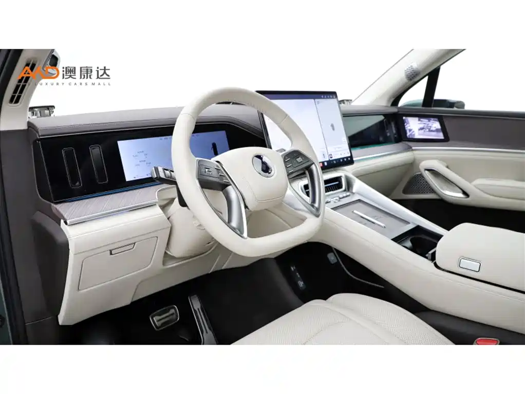 Denza N9 腾势N9/2.0 T/25款/旗舰版