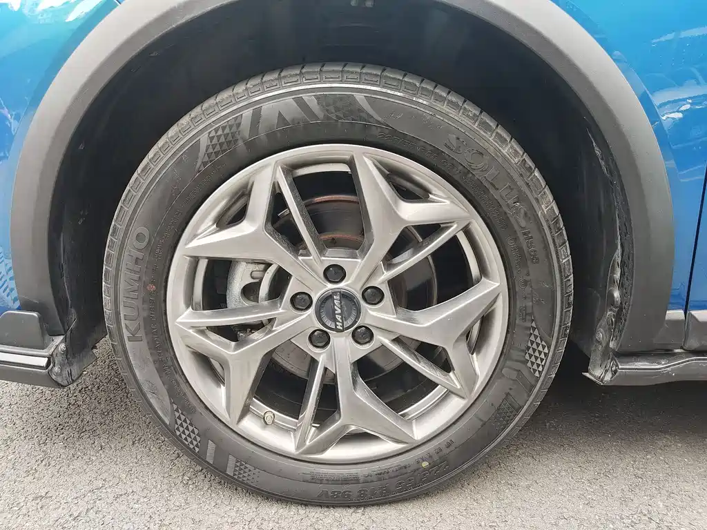 Haval Chitu Power Enjoyment 1.5 T Bronze Rabbit
