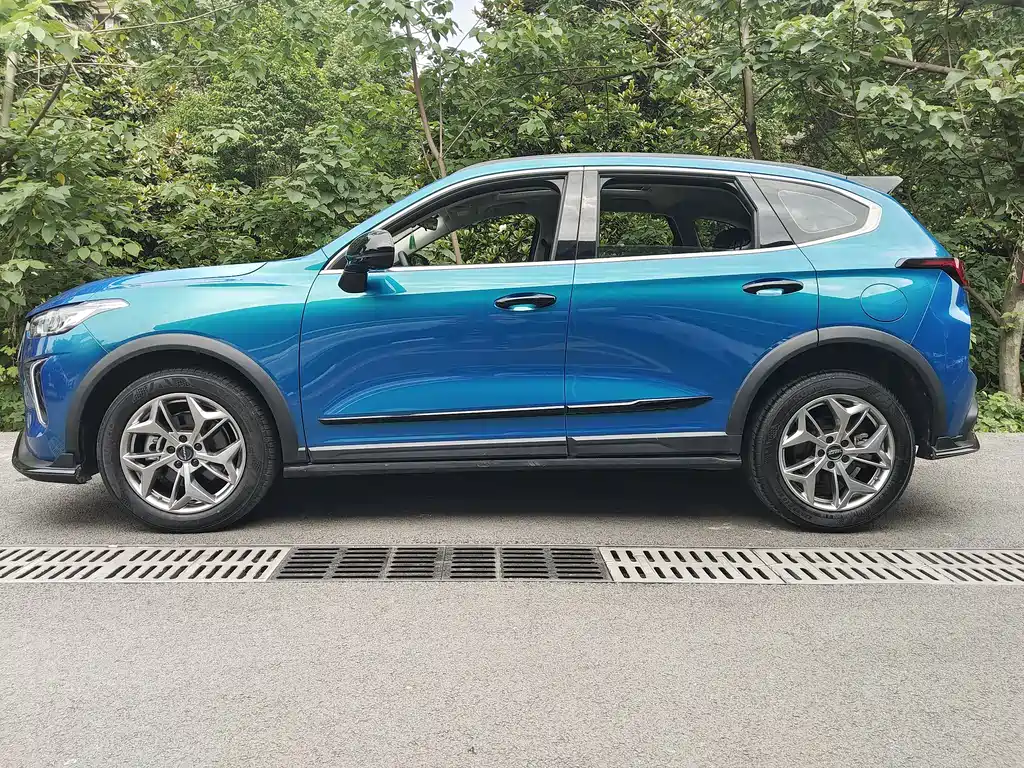 Haval Chitu Power Enjoyment 1.5 T Bronze Rabbit