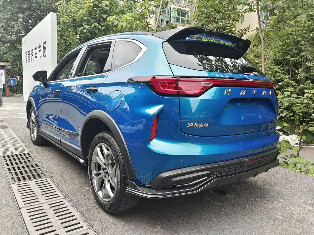 Haval Chitu Power Enjoyment 1.5 T Bronze Rabbit