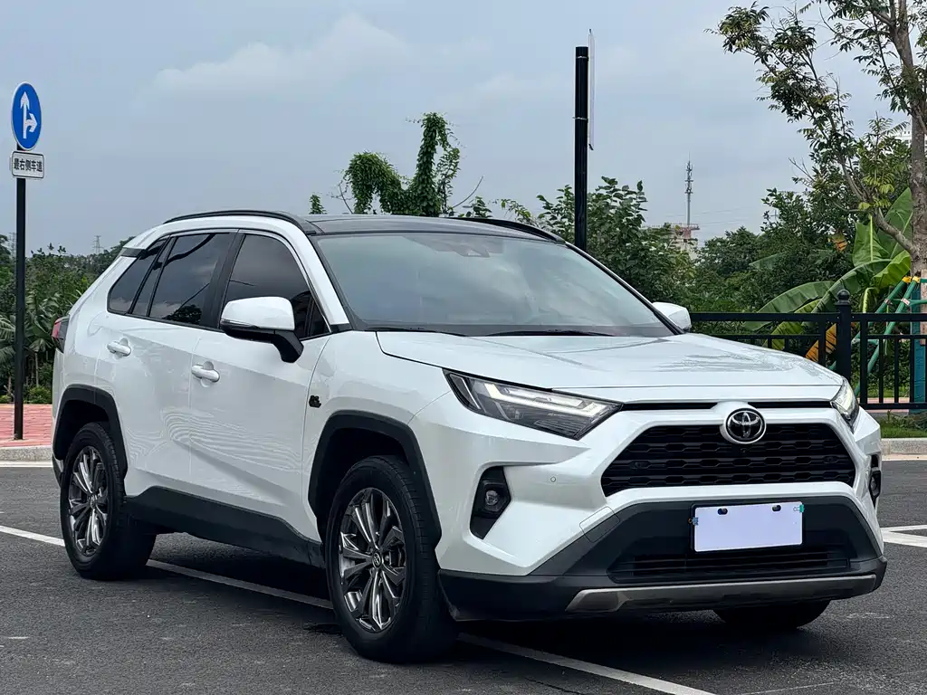 RAV4 2.0 L CVT 2 WD 20 Anniversary Platinum Commemorative
