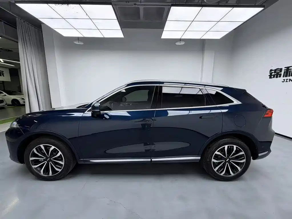 WEY Mocha 2.0 T 4 WD Pure