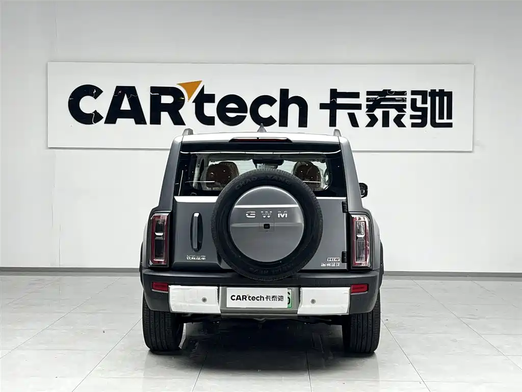 Haval Menglong NEV Hi4 150 Pro LFP