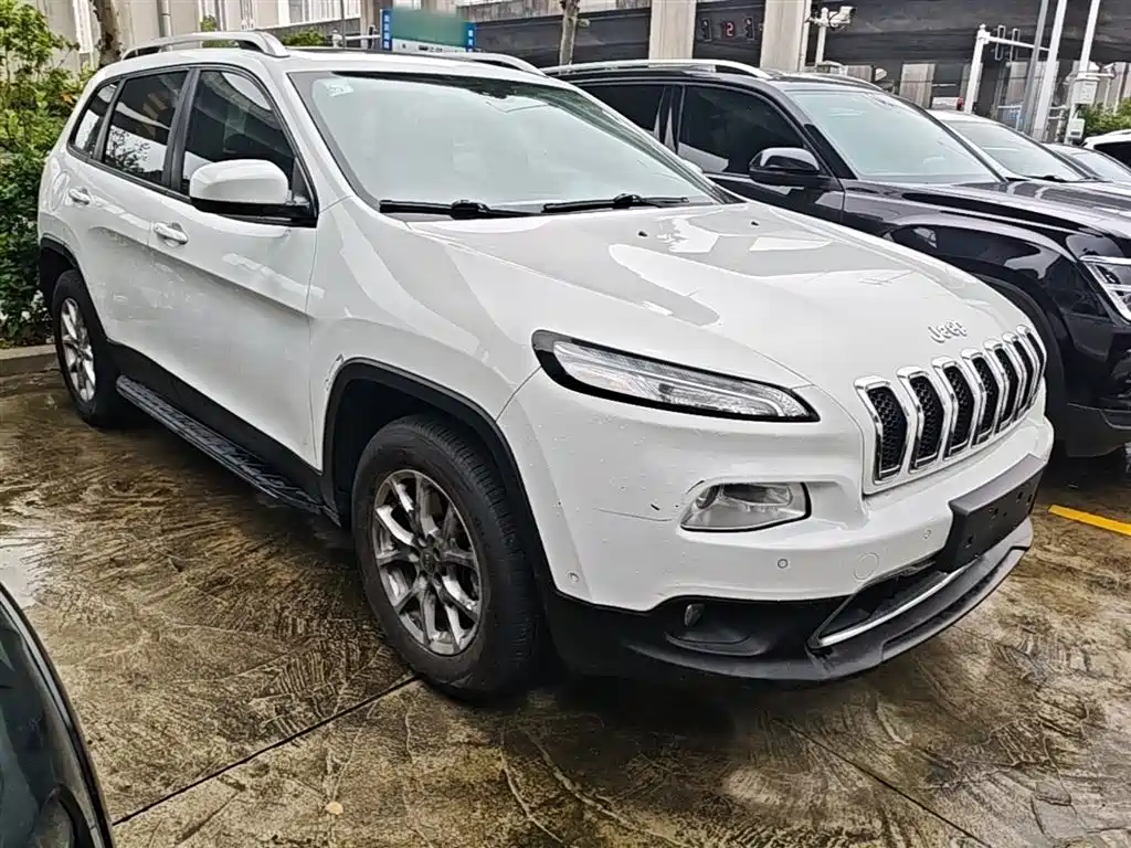 Cherokee 2.4 L Professional Intelligent
