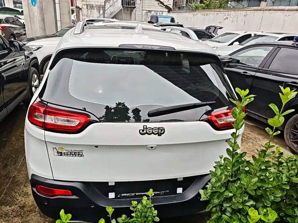 Cherokee 2.4 L Professional Intelligent