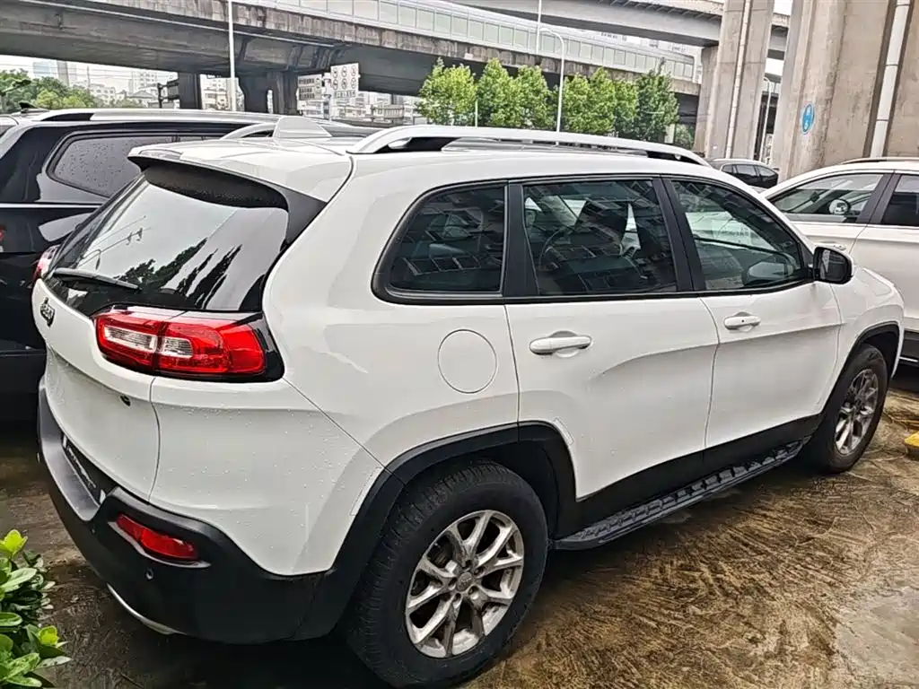 Cherokee 2.4 L Professional Intelligent