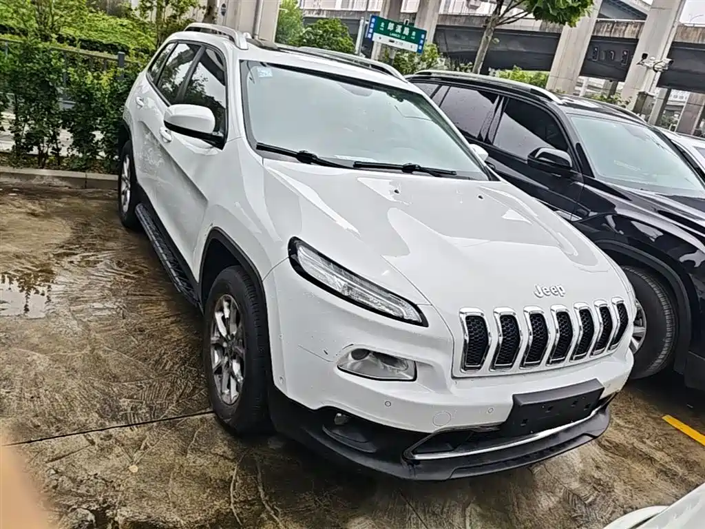 Cherokee 2.4 L Professional Intelligent