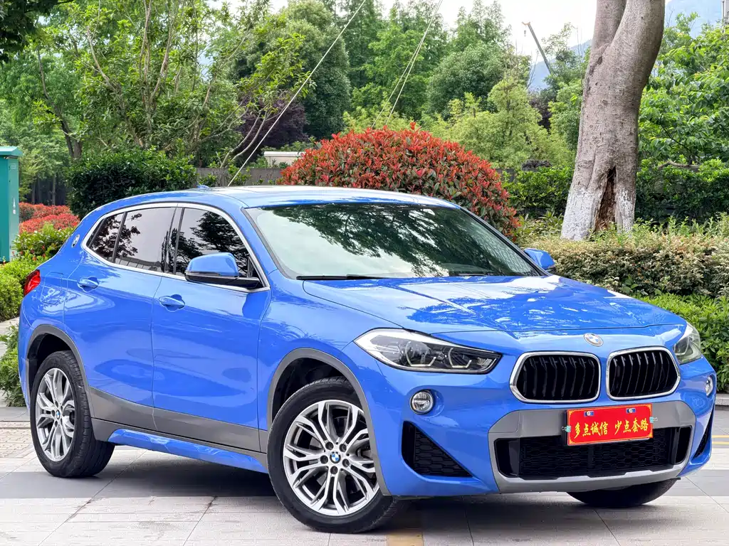 BMW X2 (Import) 宝马X2进口 2019款 sDrive25 i 豪华型M越野套装 国VI