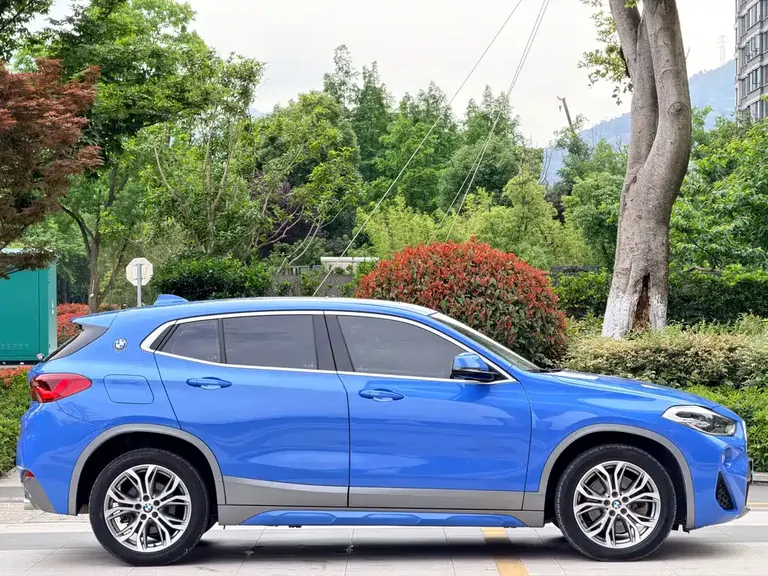 BMW X2 (Import) 宝马X2进口 2019款 sDrive25 i 豪华型M越野套装 国VI