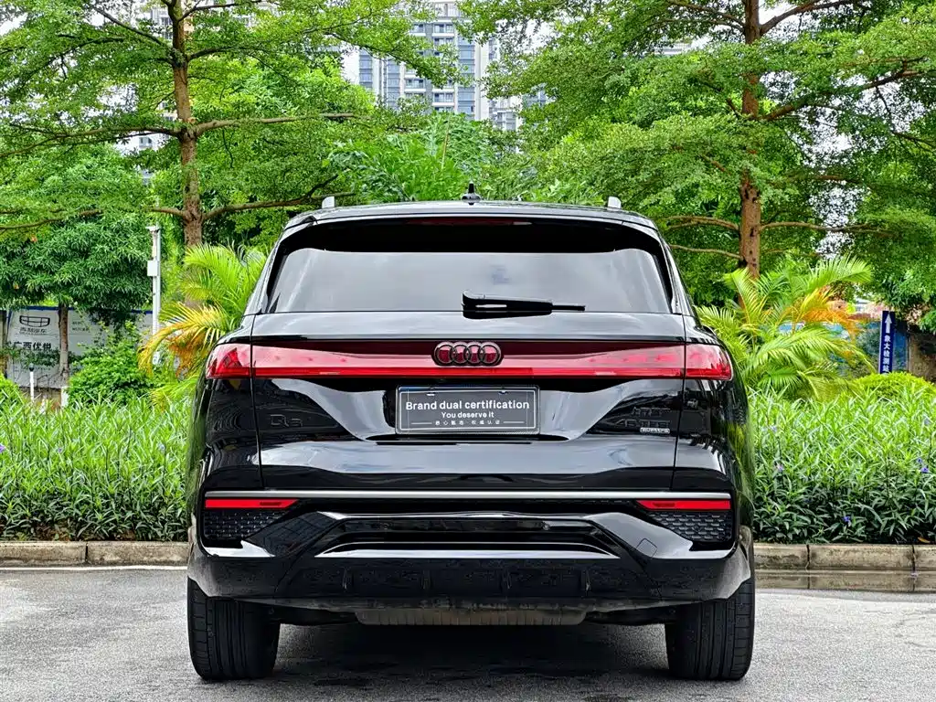 Audi Q6 45 TFSI quattro Black Warrior 7-seat