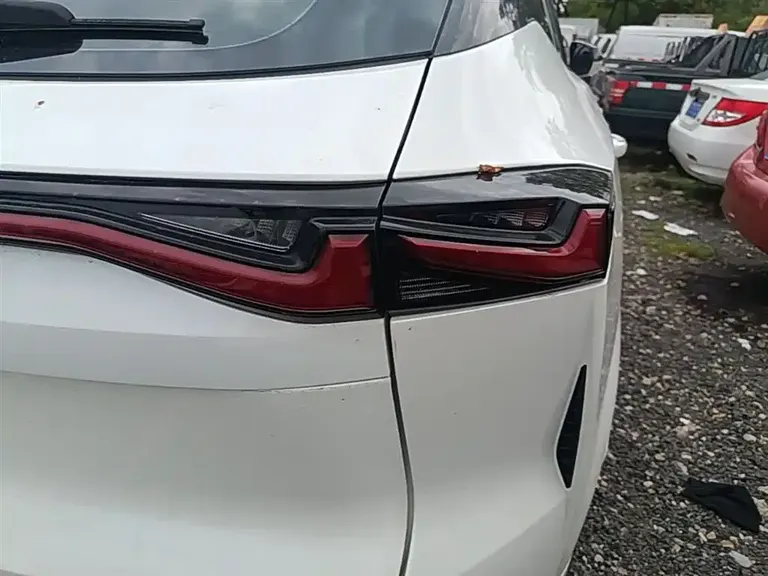 Changan Oshan Z6 Blue Whale 2.0 T Auto Smart Travel