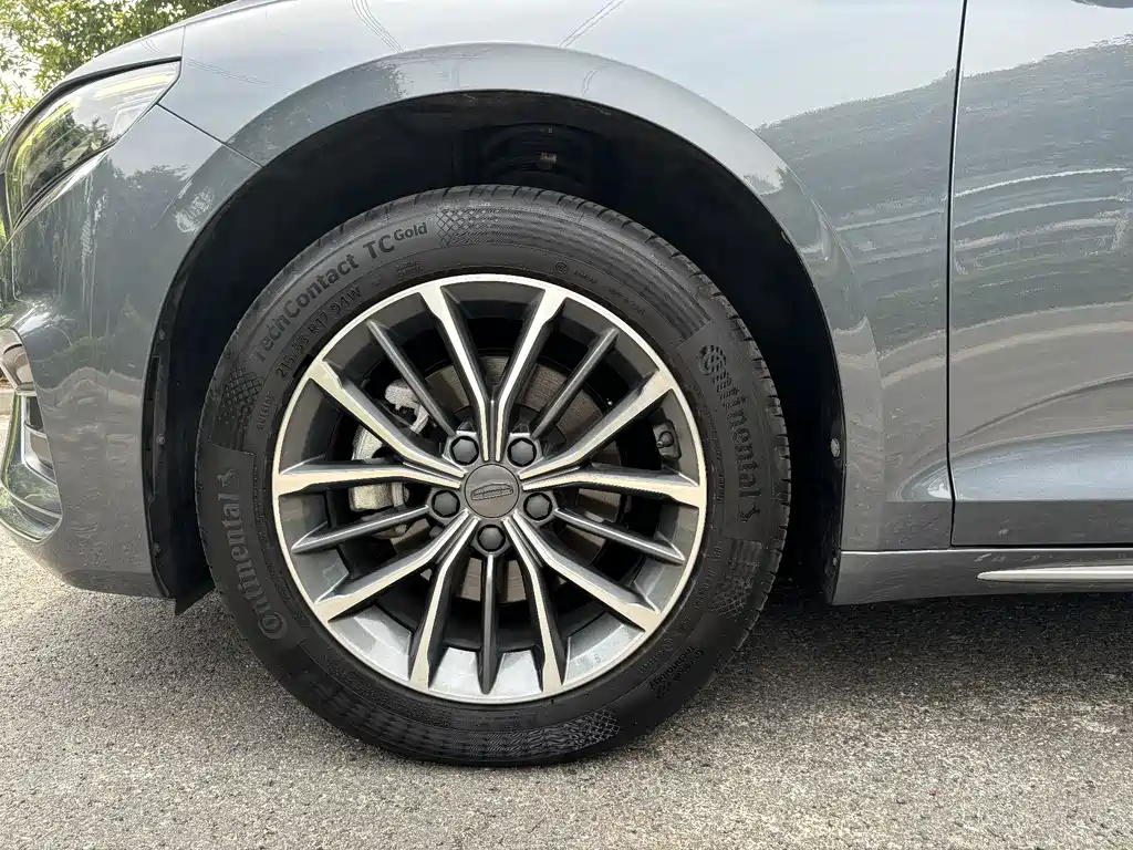 Xingrui 2.0 TD Luxury