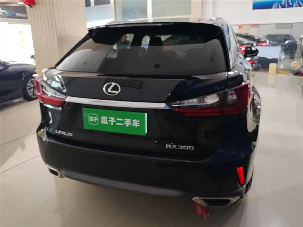 Lexus RX 300 2 WD Elite CN-V