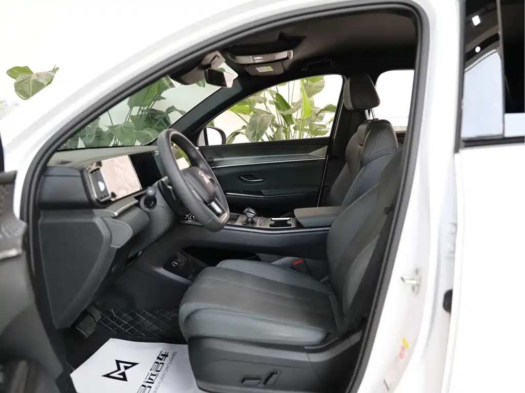 Song Pro NEV 2 nd Gen Smart Drive DM-i 75 KM Leading