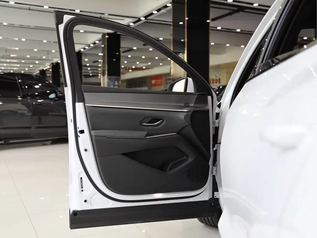 Song Pro NEV 2 nd Gen Smart Drive DM-i 75 KM Leading
