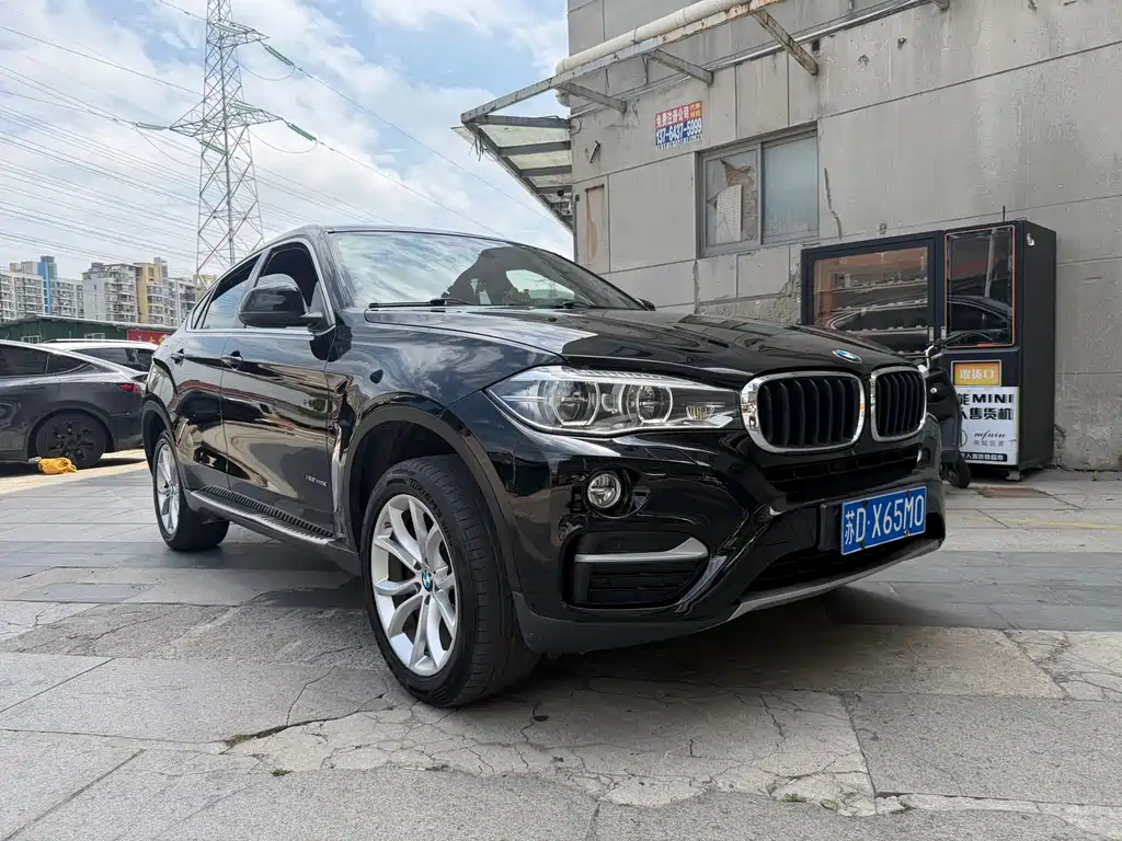 BMW X6 xDrive35 i Leading